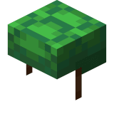 Method 3: Turtle Shell Helmet - Illustration for Essential Guide on How to Breathe Underwater in Minecraft