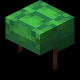 Method 3: Turtle Shell Helmet illustrated for Essential Guide on How to Breathe Underwater in Minecraft
