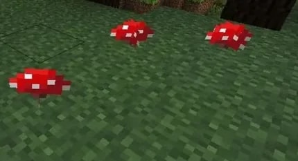 Where to Find Red Mushrooms in Minecraft illustrated for The Ultimate Guide on How to Grow Red Mushrooms in Minecraft