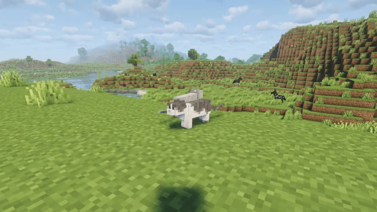 How Do You Tame Cats in Minecraft? Simple Guide