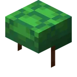 Method 3: Turtle Shell Helmet - Illustration for Essential Guide on How to Breathe Underwater in Minecraft